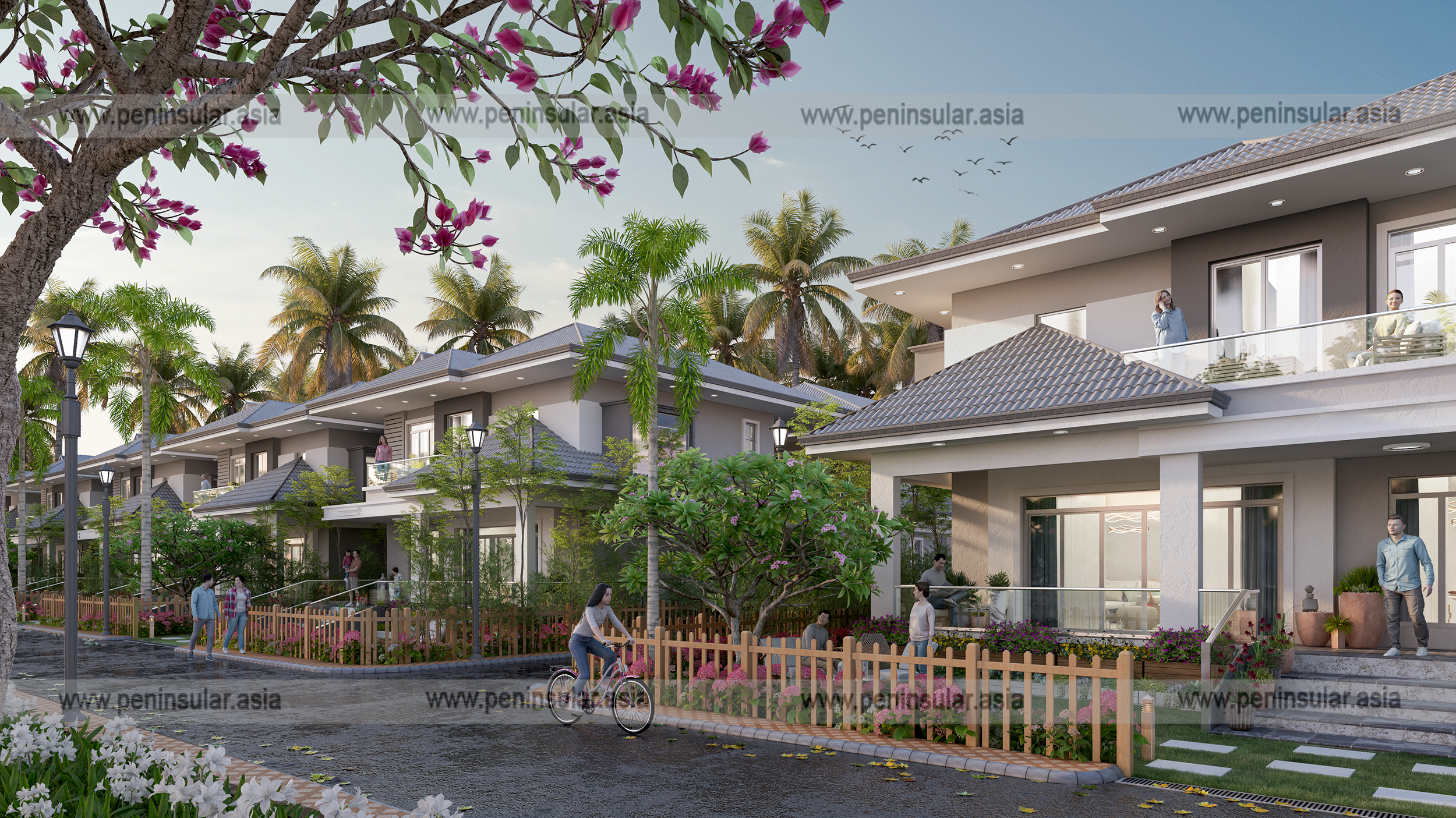 VILLAS image8